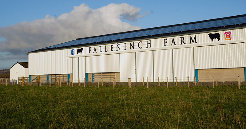 Falleninch Farm